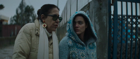 Il Vizio Della Speranza (2018)
