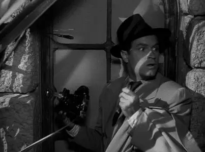 My Favorite brunette (1947)