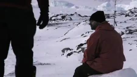 South of Sanity (2012)