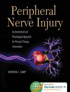 Peripheral Nerve Injury: An Anatomical and Physiological Approach for Physical Therapy Intervention (Repost)