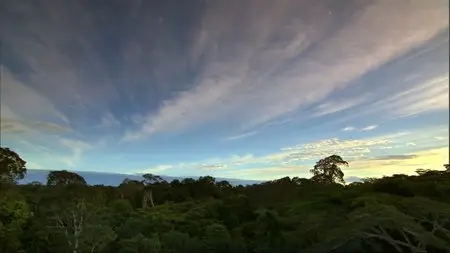 Secrets of our Living Planet (2012)