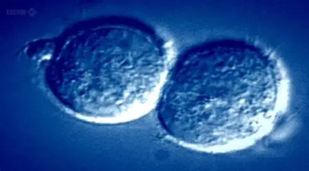 BBC Horizon - Defeating Cancer (2012)