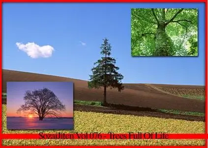 DataCraft Sozaijiten Vol 076 - Trees Full Of Life
