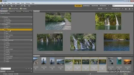 Bridge CC for Photographers (2013) [repost]