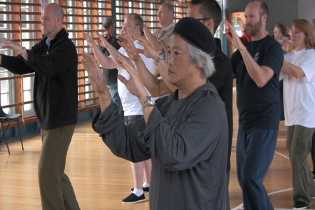 Tai Chi Foundation - Roots & Branches 5 Element Qi Gong [repost]