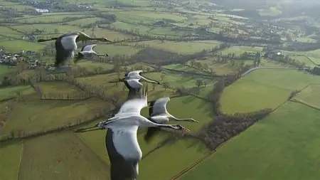 Earthflight - (s01e03) Europe (2012)