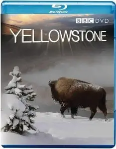 Yellowstone: Battle for Life (2009)