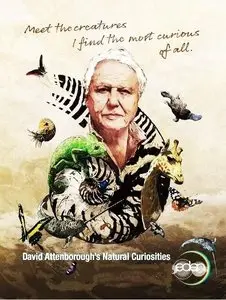 UKTV - Attenborough's Natural Curiosities (2013)