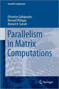 Parallelism in Matrix Computations (repost)