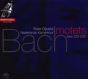 Bach - Motets BWV 225-230 (Nederlands Kamerkoor, Peter Dijkstra) (2008)