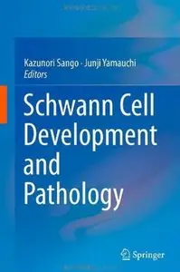 Schwann Cell Development and Pathology [Repost]