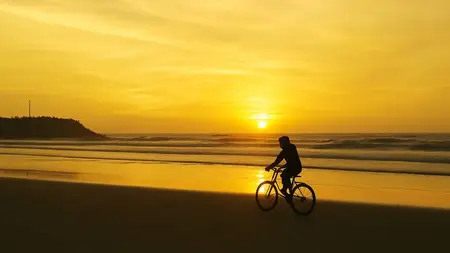 Life Coaching Mastery: Coach with Purpose and Clarity