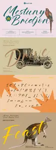 Mestuny Bridjon - Modern Brush Script Font DL4HW7A