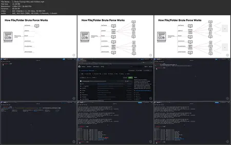 Scan Web Applications with Bash