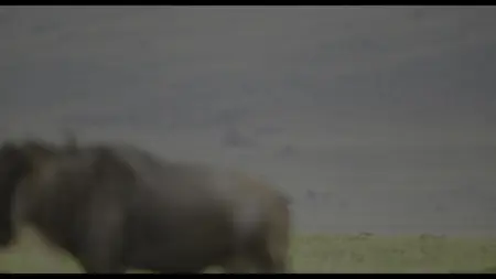 Underdogs S01E03