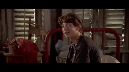 Flipper (1996)