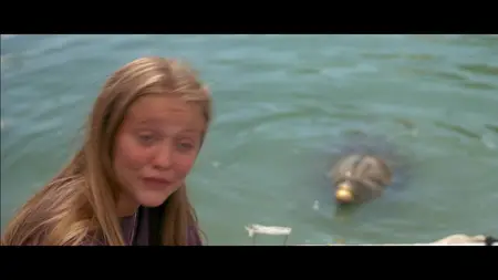 Flipper (1996)