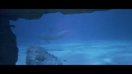 Flipper (1996)