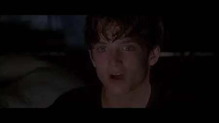 Flipper (1996)