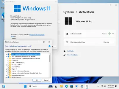 Windows 11 Pro 23H2 Build 22631.4169 (No TPM Required) Preactivated (x64) Multilingual September 2024