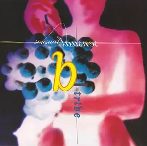 B-Tribe - 5 Studio Albums (1993-2003)