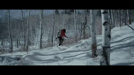 Hunting Ava Bravo (2022)