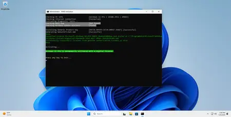 tiny11 Core 24H2 Build 26100.3915 Preactivated