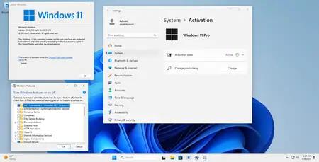 tiny11 Core 24H2 Build 26100.3915 Preactivated