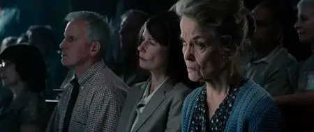 The Judge (2014)
