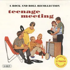 V.A. - Teenage Meeting: A Rock And Roll Recollection (1993) RE-UP