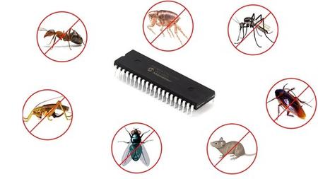 PIC Microcontroller Insect Detector
