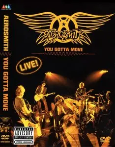 Aerosmith - You Gotta Move (2004)