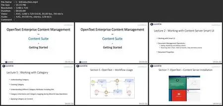 Opentext Ecm Content Server - Getting Started