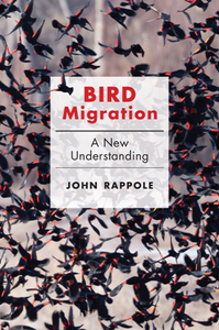 Bird Migration : A New Understanding