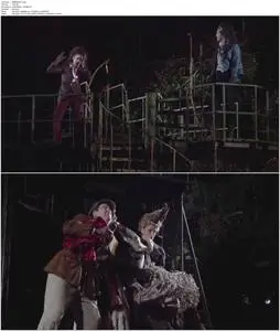 Into the Woods (2011)