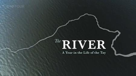 BBC - The River: A Year in the Life of the Tay (2019)