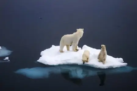 World In Photo 237