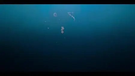 Dive Club S01E11