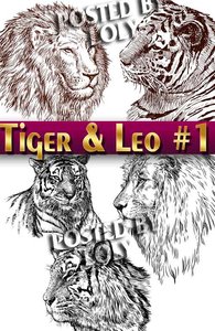 Tiger and Lion #1 - Stock Vector
