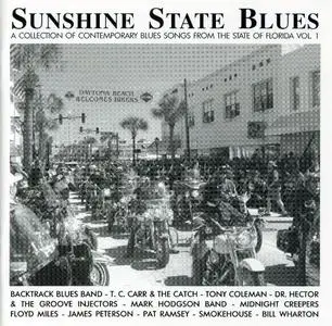 VA - A Collection of Contemporary Blues Songs From The States (1992-1999) (17 CDs)