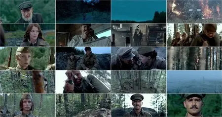 A zori zdes tikhie (2015)