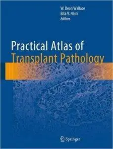 Practical Atlas of Transplant Pathology