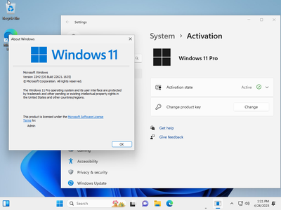 Windows 11 Pro 22H2 Build 22621.1635 (No TPM Required) Preactivated Multilingual
