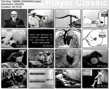 Experiment on revival of the dog head (1940)
