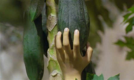 Anh Hung Tran - L'odeur de la papaye verte (1993)