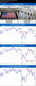 The Beginner's Guide to the Futures and Options Trading