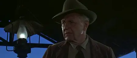 The Professionals (1966)