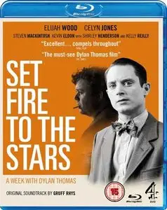 Set Fire to the Stars (2014)