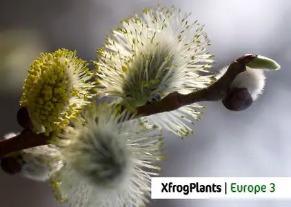 XfrogPlants | Europe 3 Library vol.2