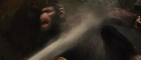 Rise of the Planet of the Apes (2011)